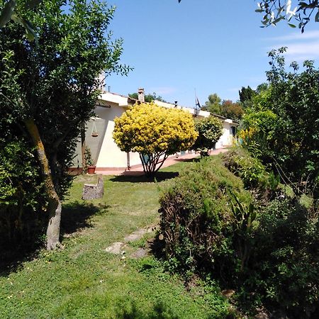 Agriturismo Le Colline Di Capalbio Luaran gambar