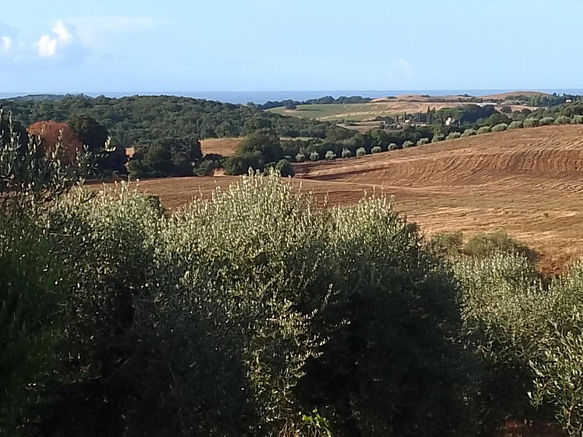 Agriturismo Le Colline Di Capalbio Luaran gambar