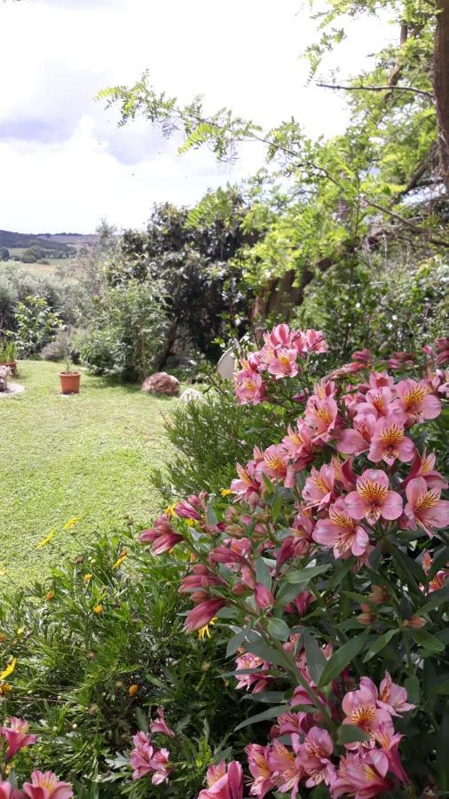 Agriturismo Le Colline Di Capalbio Luaran gambar