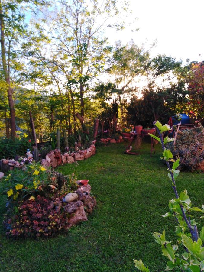 Agriturismo Le Colline Di Capalbio Luaran gambar
